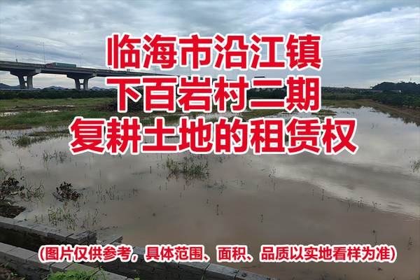临海市沿江镇下百岩村二期复耕土地的租赁权
